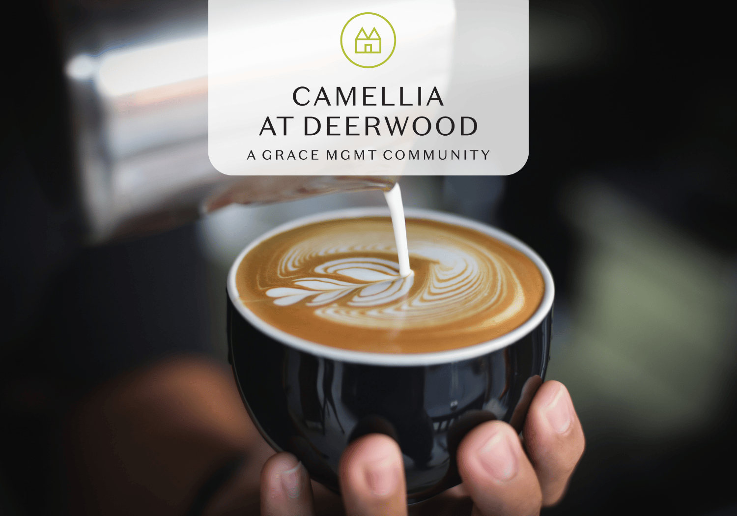 Camellia -Coffee - Camellia at Deerwood