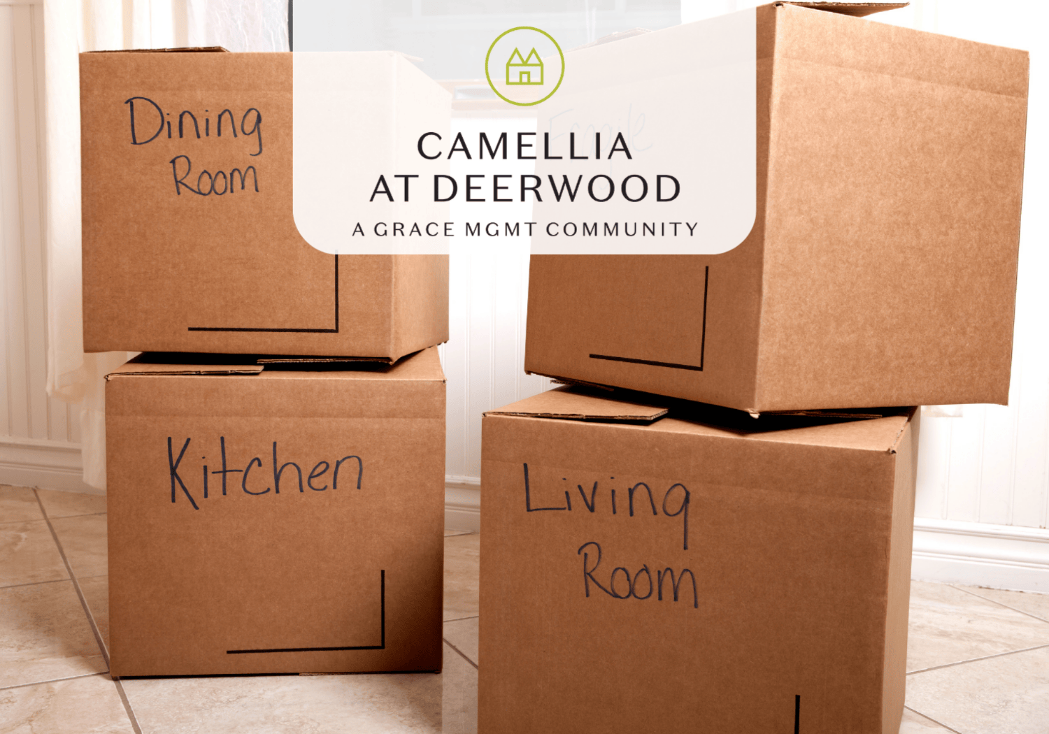Camellia - Downsizing - Camellia at Deerwood